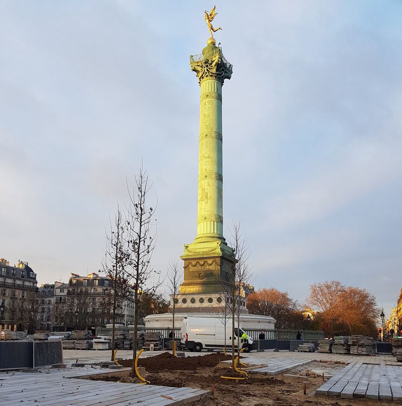 arbres bastille.jpg
